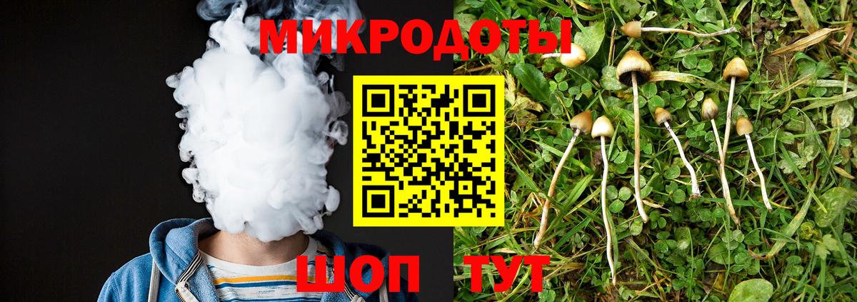 Псилоцибиновые грибы GOLDEN TEACHER  Галлюциногенные грибы ЛСД  Химки  Вход с VPN 