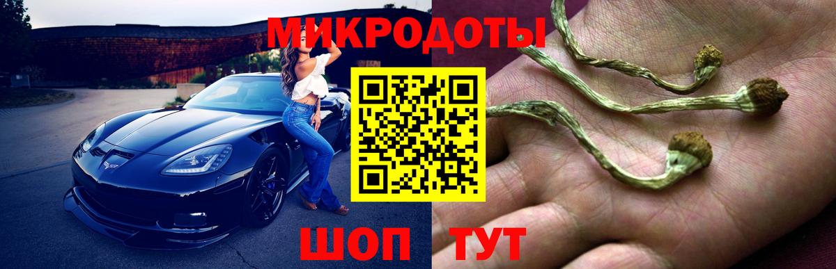 Галлюциногенные грибы Cubensis Химки